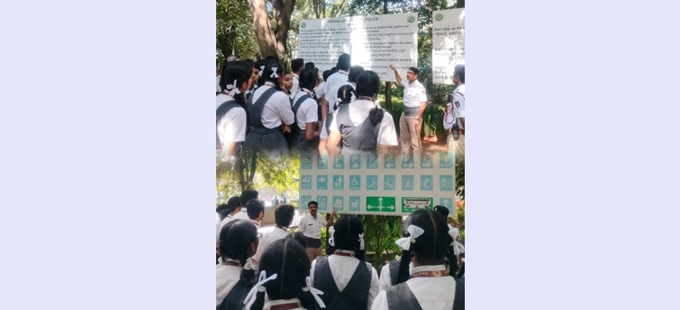 Traffic Awareness Program 